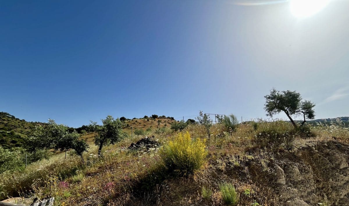 6 slaapkamer Finca/Landhuis te koop in Torre-Alhaquime met zwembad - € 750.000 (Ref: 9867651)