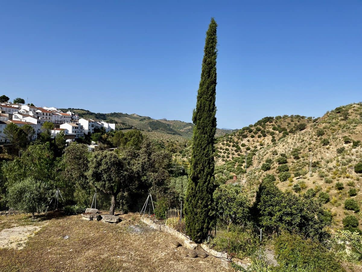 6 slaapkamer Finca/Landhuis te koop in Torre-Alhaquime met zwembad - € 750.000 (Ref: 9867651)