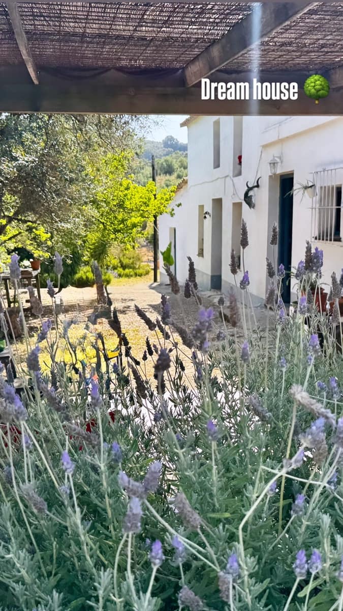 2 Zimmer Finca/Landgut zu verkaufen in Algodonales mit Pool - 399.995 € (Ref: 9905161)