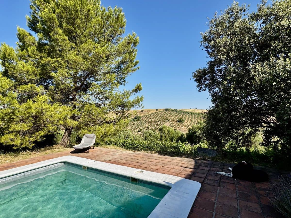 2 Zimmer Finca/Landgut zu verkaufen in Algodonales mit Pool - 399.995 € (Ref: 9905161)