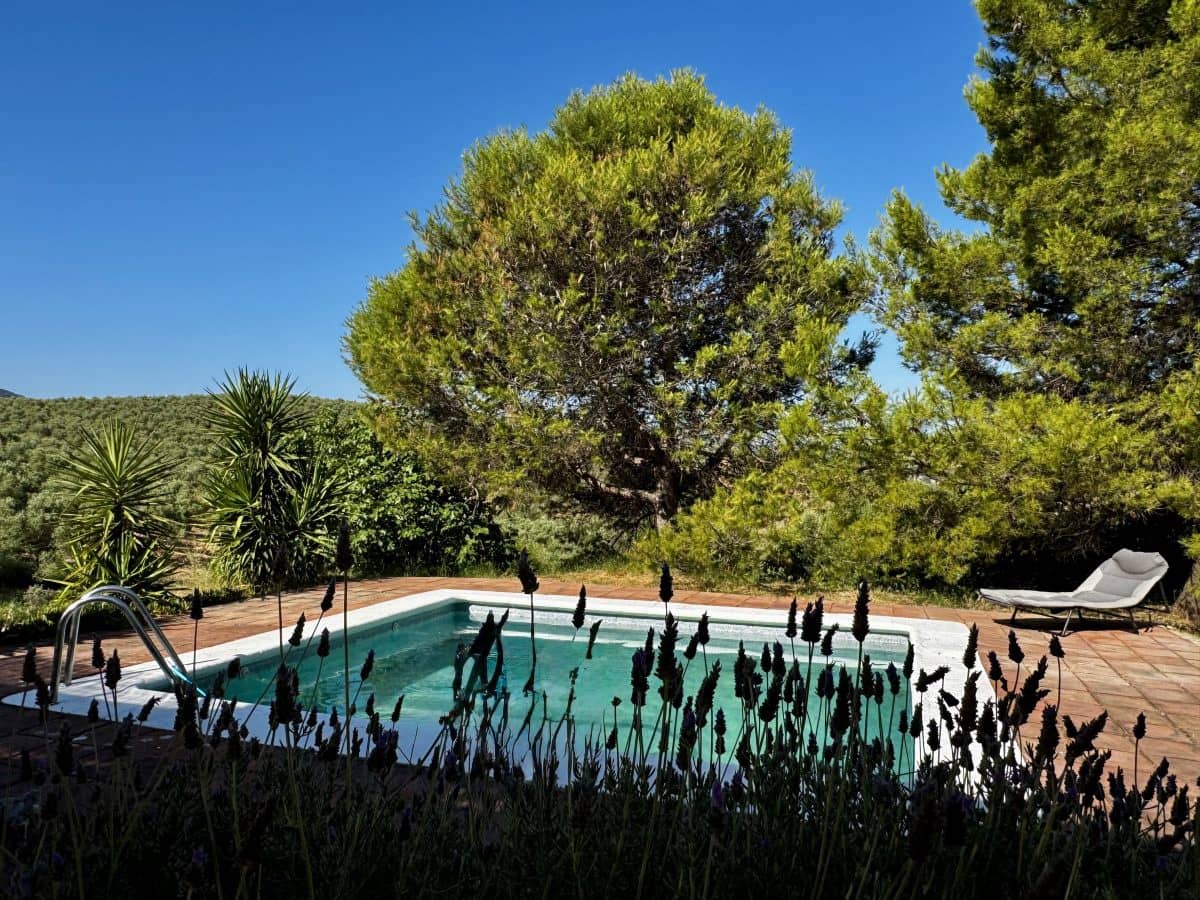 2 Zimmer Finca/Landgut zu verkaufen in Algodonales mit Pool - 399.995 € (Ref: 9905161)