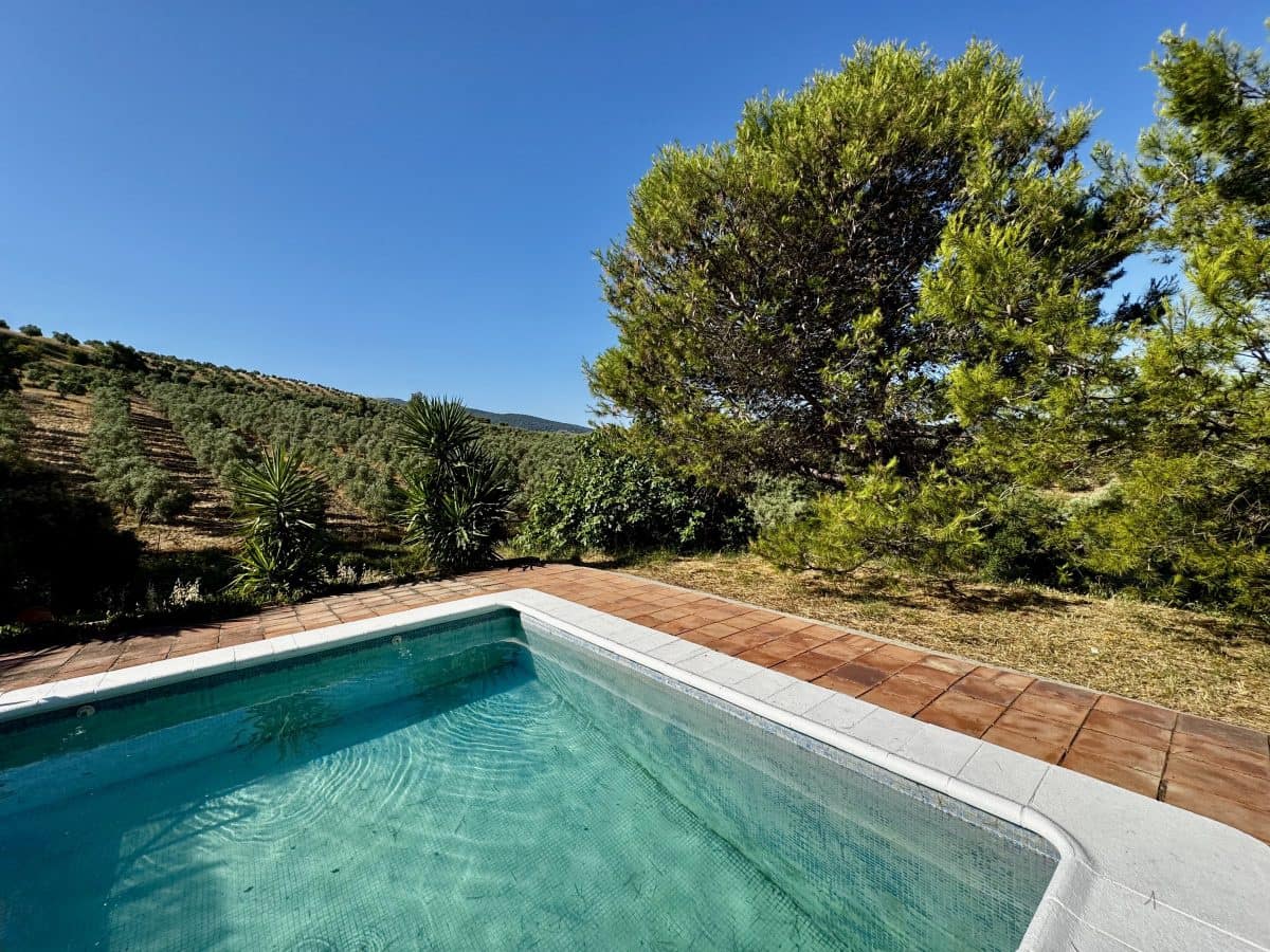 2 Zimmer Finca/Landgut zu verkaufen in Algodonales mit Pool - 399.995 € (Ref: 9905161)