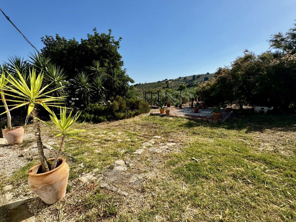 2 Zimmer Finca/Landgut zu verkaufen in Algodonales mit Pool - 399.995 € (Ref: 9905161)