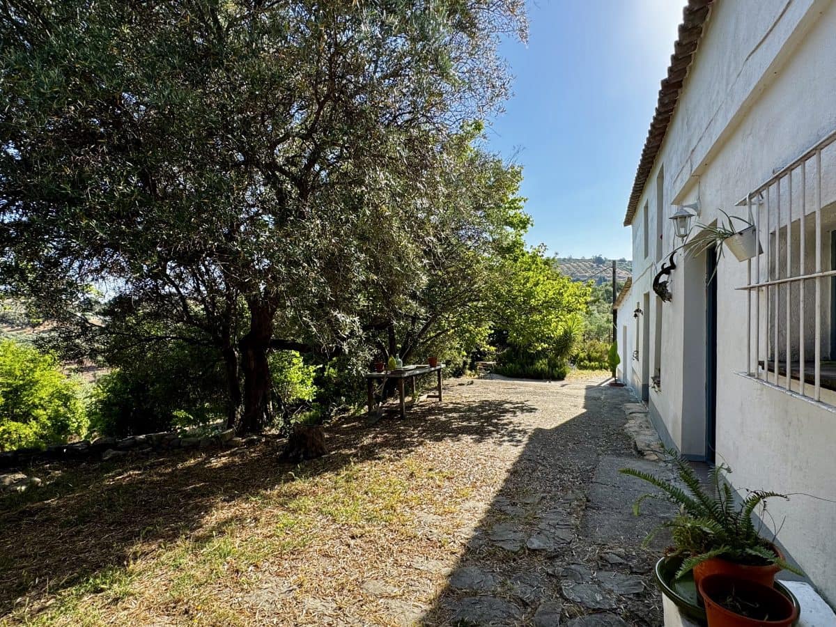 2 Zimmer Finca/Landgut zu verkaufen in Algodonales mit Pool - 399.995 € (Ref: 9905161)