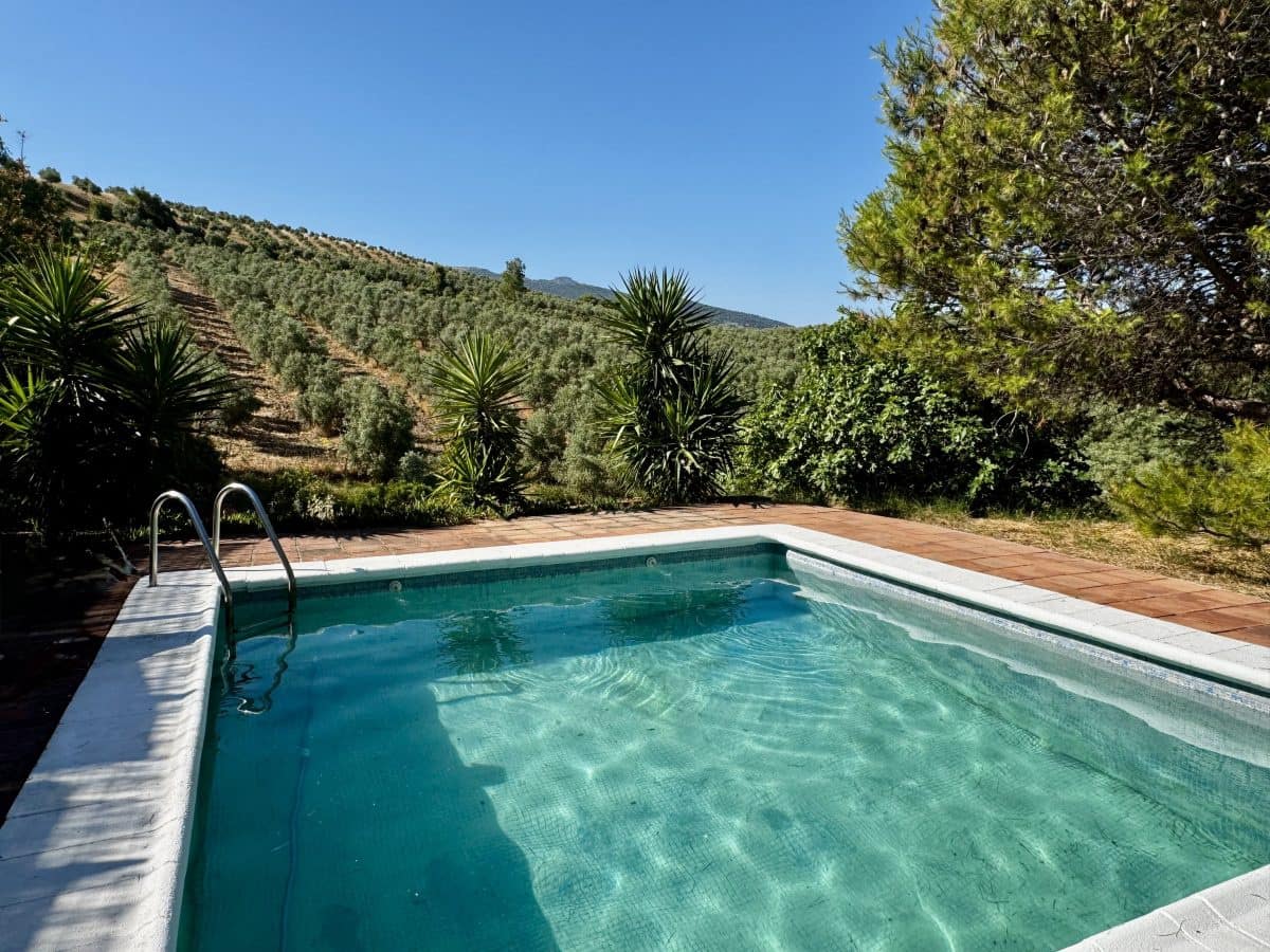 2 Zimmer Finca/Landgut zu verkaufen in Algodonales mit Pool - 399.995 € (Ref: 9905161)