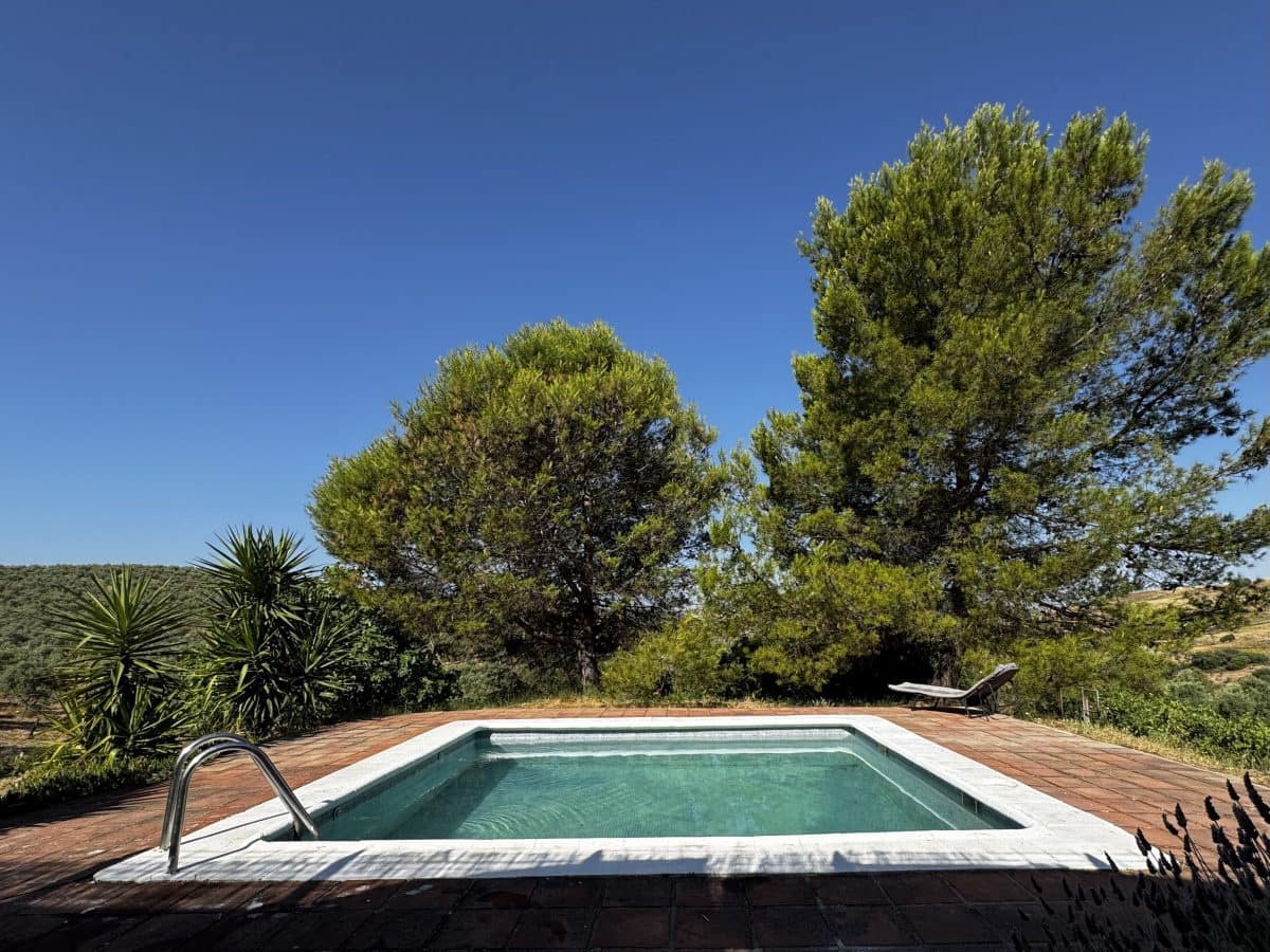 2 Zimmer Finca/Landgut zu verkaufen in Algodonales mit Pool - 399.995 € (Ref: 9905161)