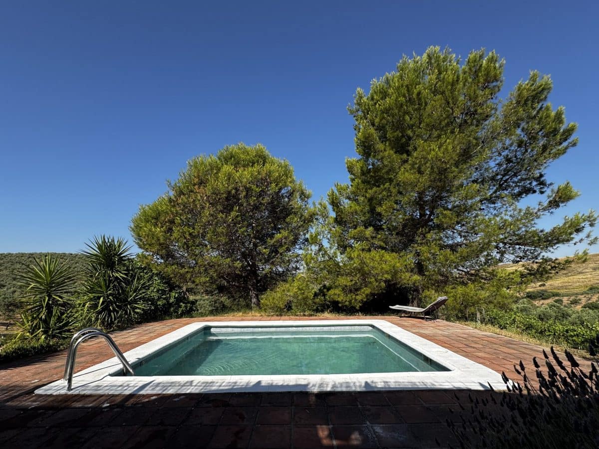 2 Zimmer Finca/Landgut zu verkaufen in Algodonales mit Pool - 399.995 € (Ref: 9905161)