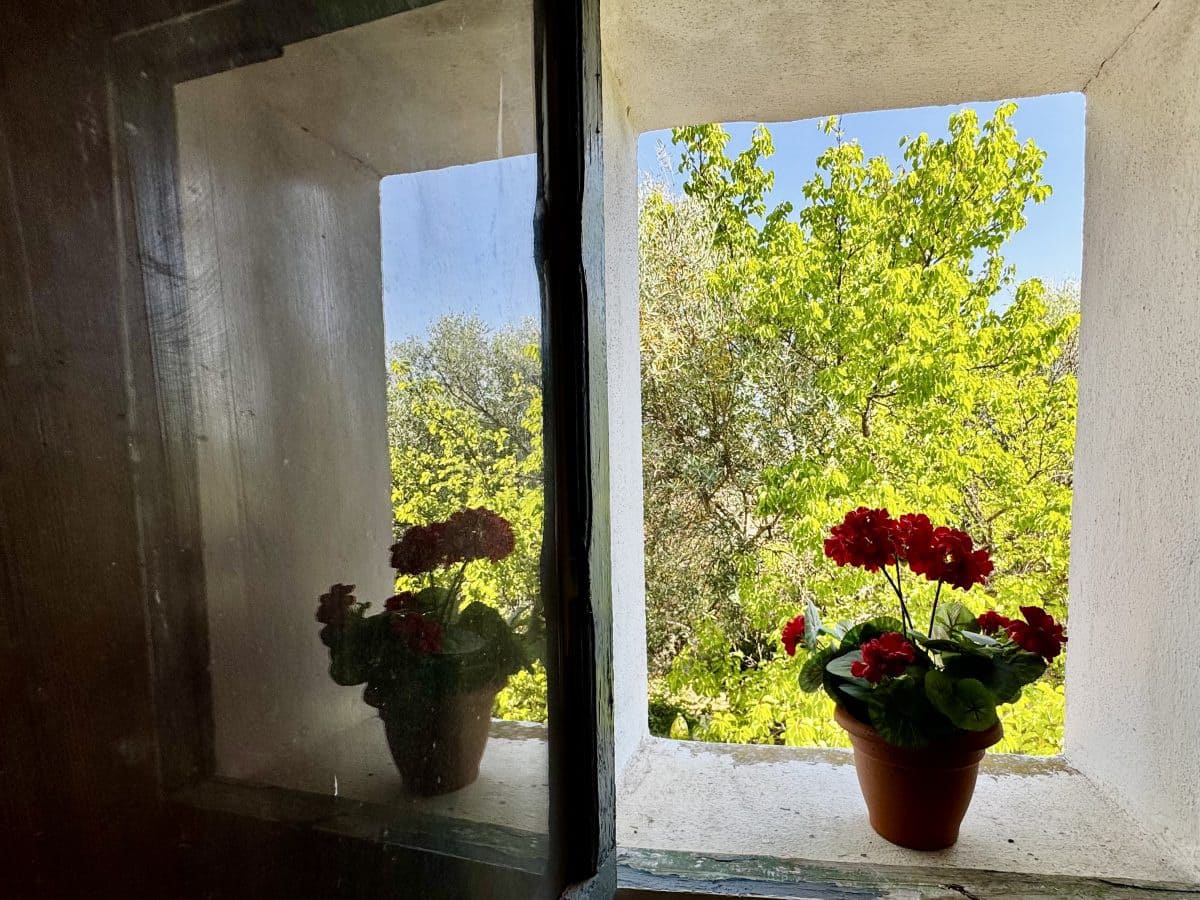 2 Zimmer Finca/Landgut zu verkaufen in Algodonales mit Pool - 399.995 € (Ref: 9905161)