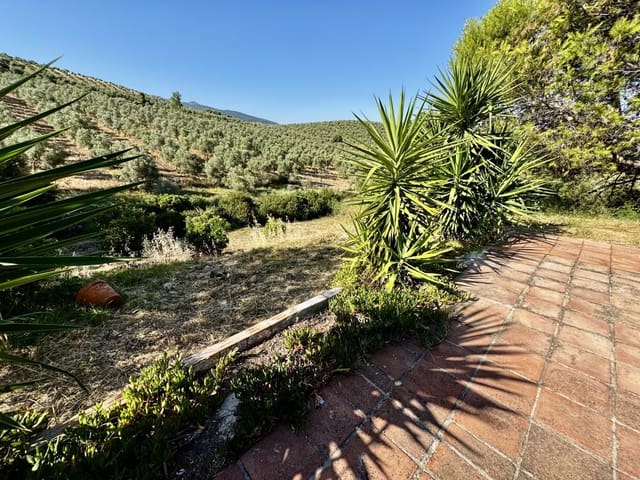 Finca/Casa Rural de 2 habitaciones en Algodonales en venta con piscina - 399.995 € (Ref: 9905161)