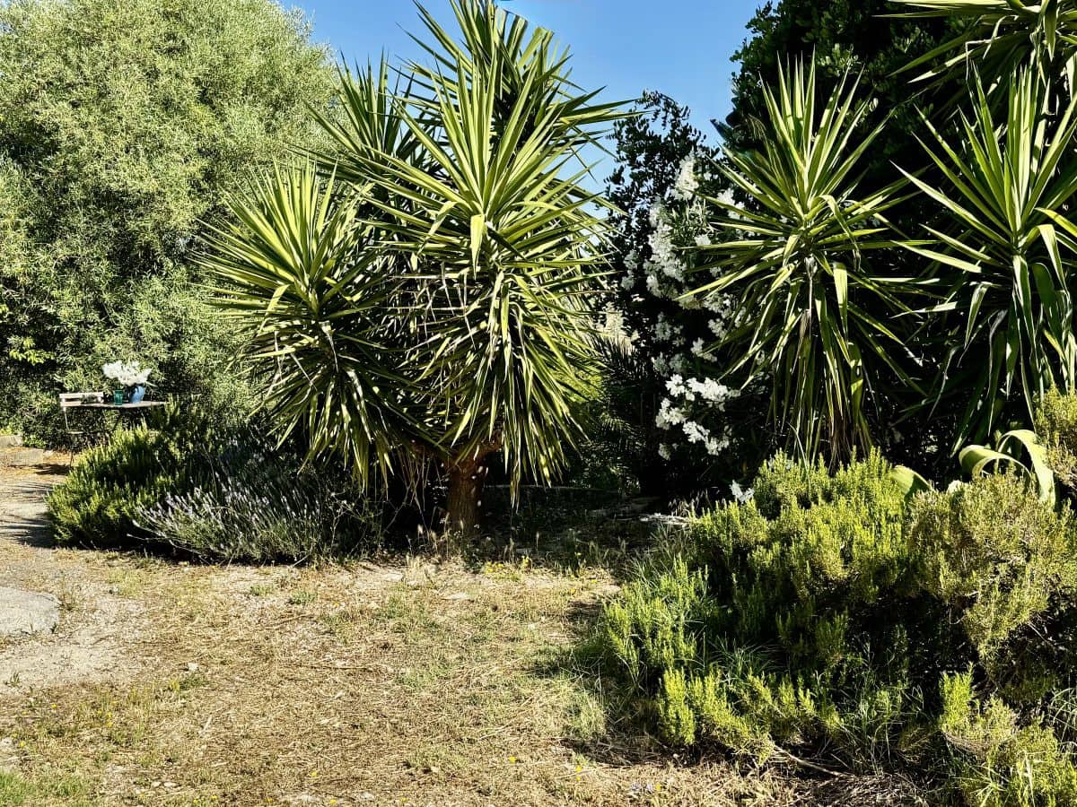 2 Zimmer Finca/Landgut zu verkaufen in Algodonales mit Pool - 399.995 € (Ref: 9905161)