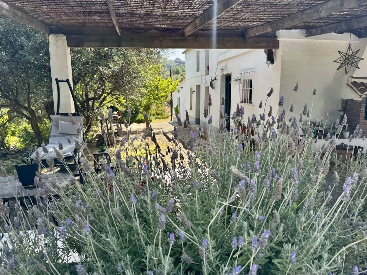 2 Zimmer Finca/Landgut zu verkaufen in Algodonales mit Pool - 399.995 € (Ref: 9905161)
