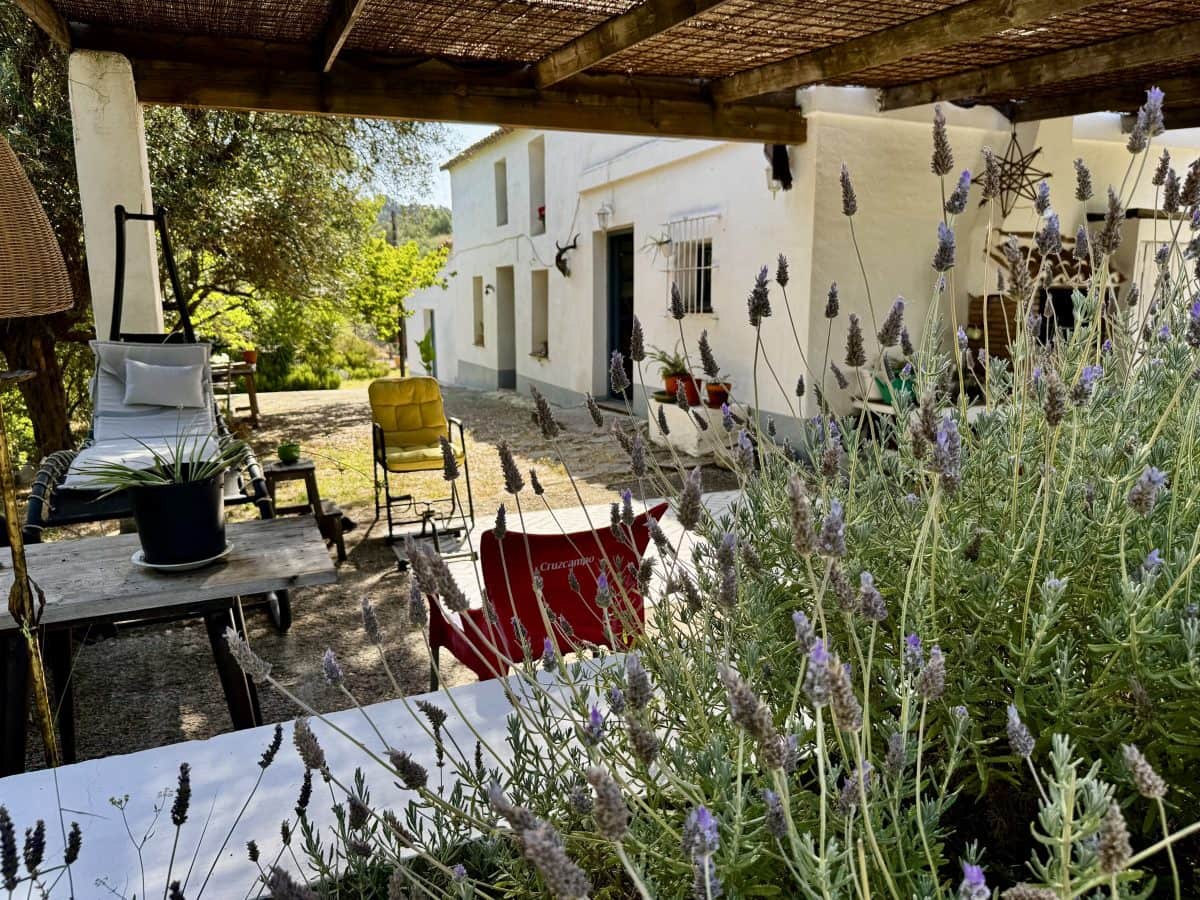2 Zimmer Finca/Landgut zu verkaufen in Algodonales mit Pool - 399.995 € (Ref: 9905161)