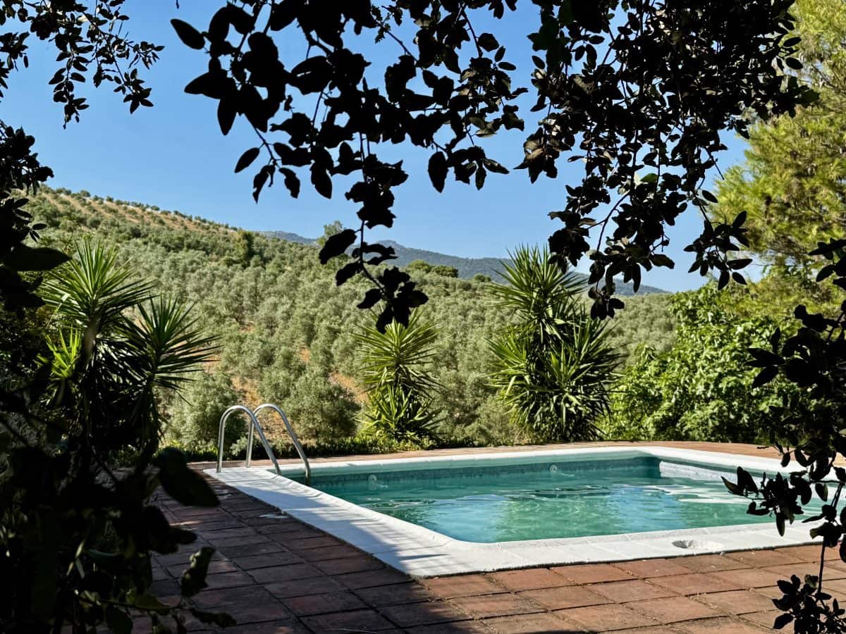 2 Zimmer Finca/Landgut zu verkaufen in Algodonales mit Pool - 399.995 € (Ref: 9905161)