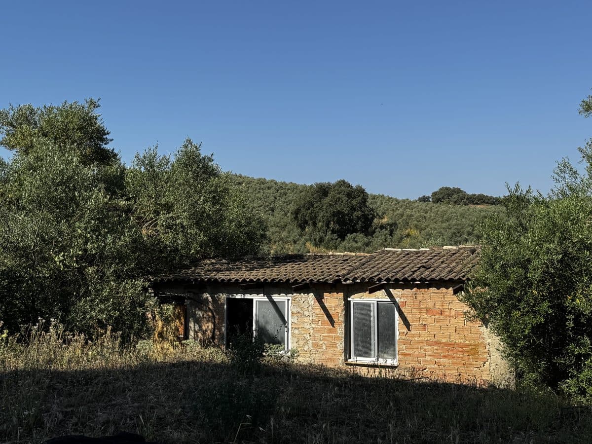 2 Zimmer Finca/Landgut zu verkaufen in Algodonales mit Pool - 399.995 € (Ref: 9905161)