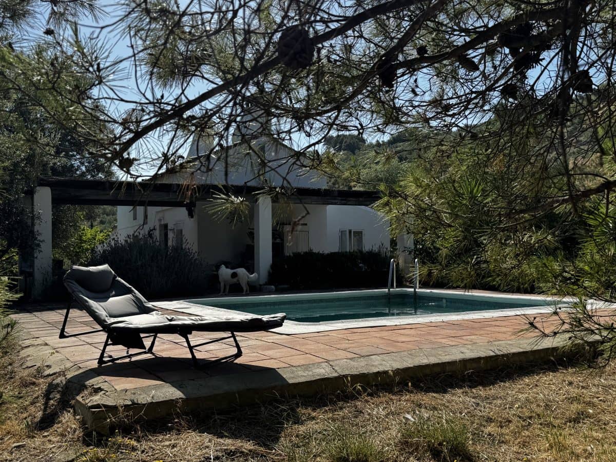 2 Zimmer Finca/Landgut zu verkaufen in Algodonales mit Pool - 399.995 € (Ref: 9905161)