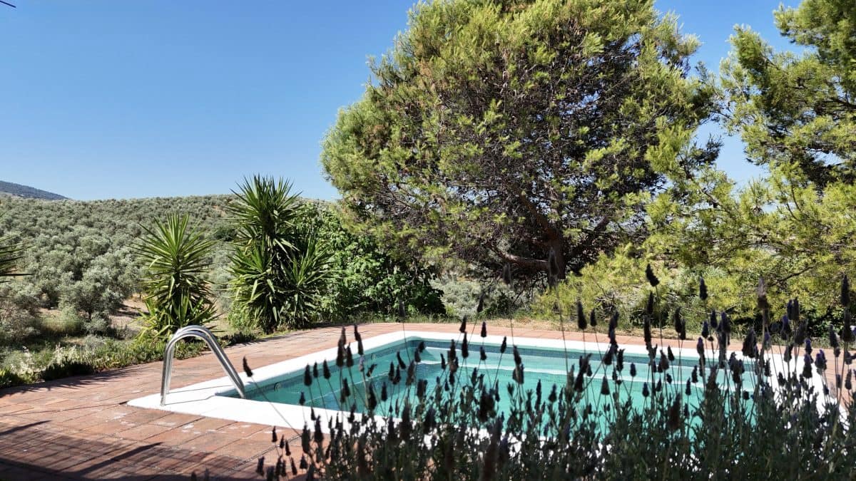 2 bedroom Finca/Country House for sale in Algodonales with pool garage - € 399,995 (Ref: 9905161)