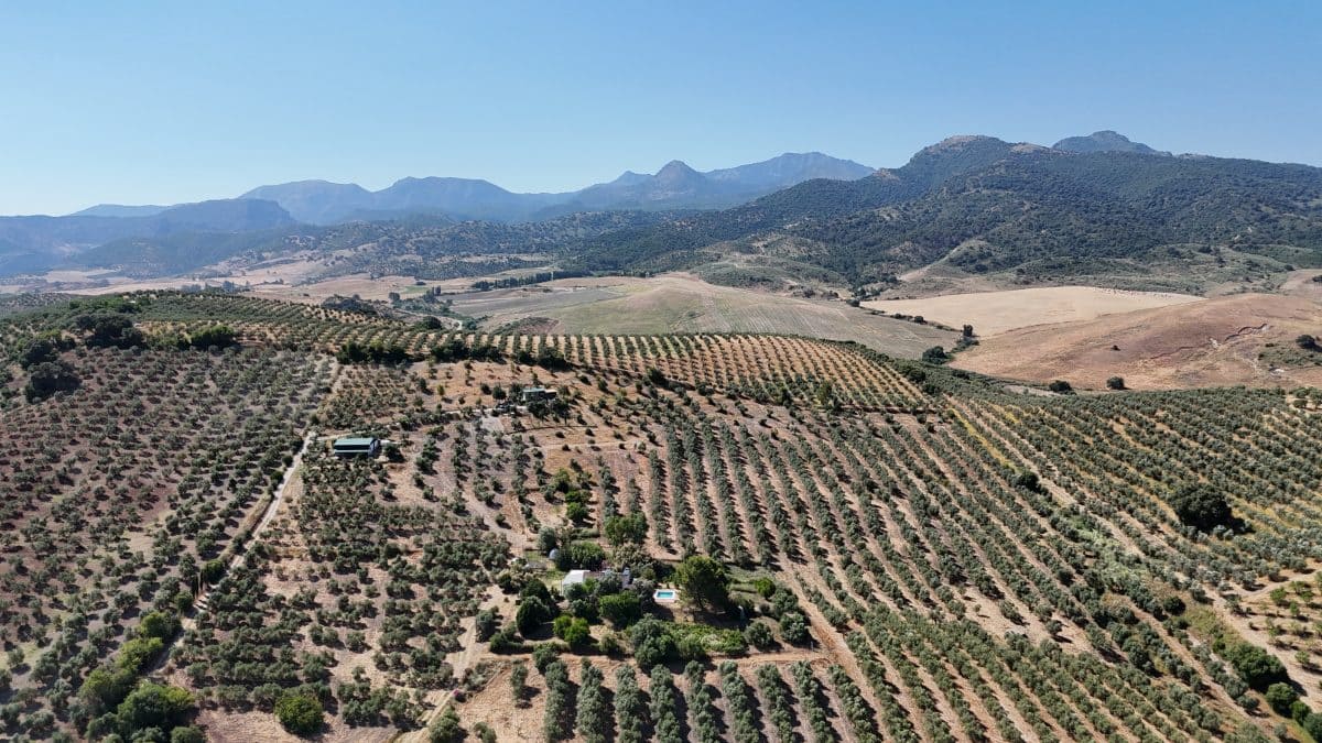 2 bedroom Finca/Country House for sale in Algodonales with pool garage - € 399,995 (Ref: 9905161)
