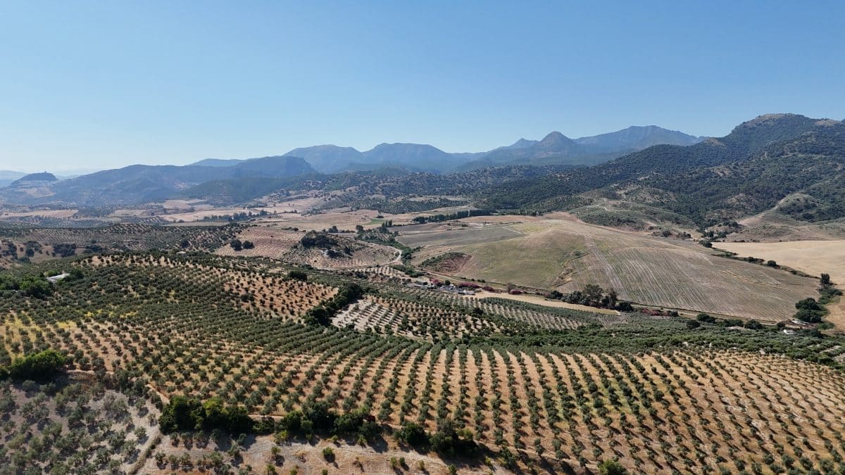2 bedroom Finca/Country House for sale in Algodonales with pool garage - € 399,995 (Ref: 9905161)