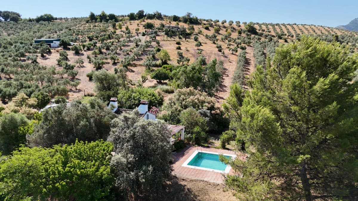2 bedroom Finca/Country House for sale in Algodonales with pool garage - € 399,995 (Ref: 9905161)