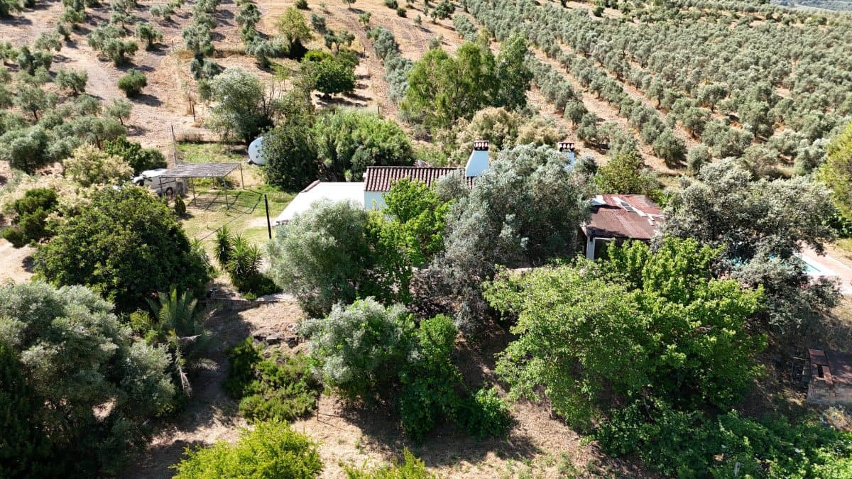 2 bedroom Finca/Country House for sale in Algodonales with pool garage - € 399,995 (Ref: 9905161)