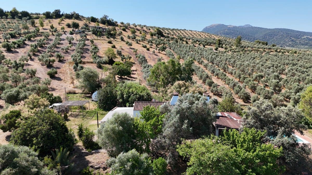 2 bedroom Finca/Country House for sale in Algodonales with pool garage - € 399,995 (Ref: 9905161)
