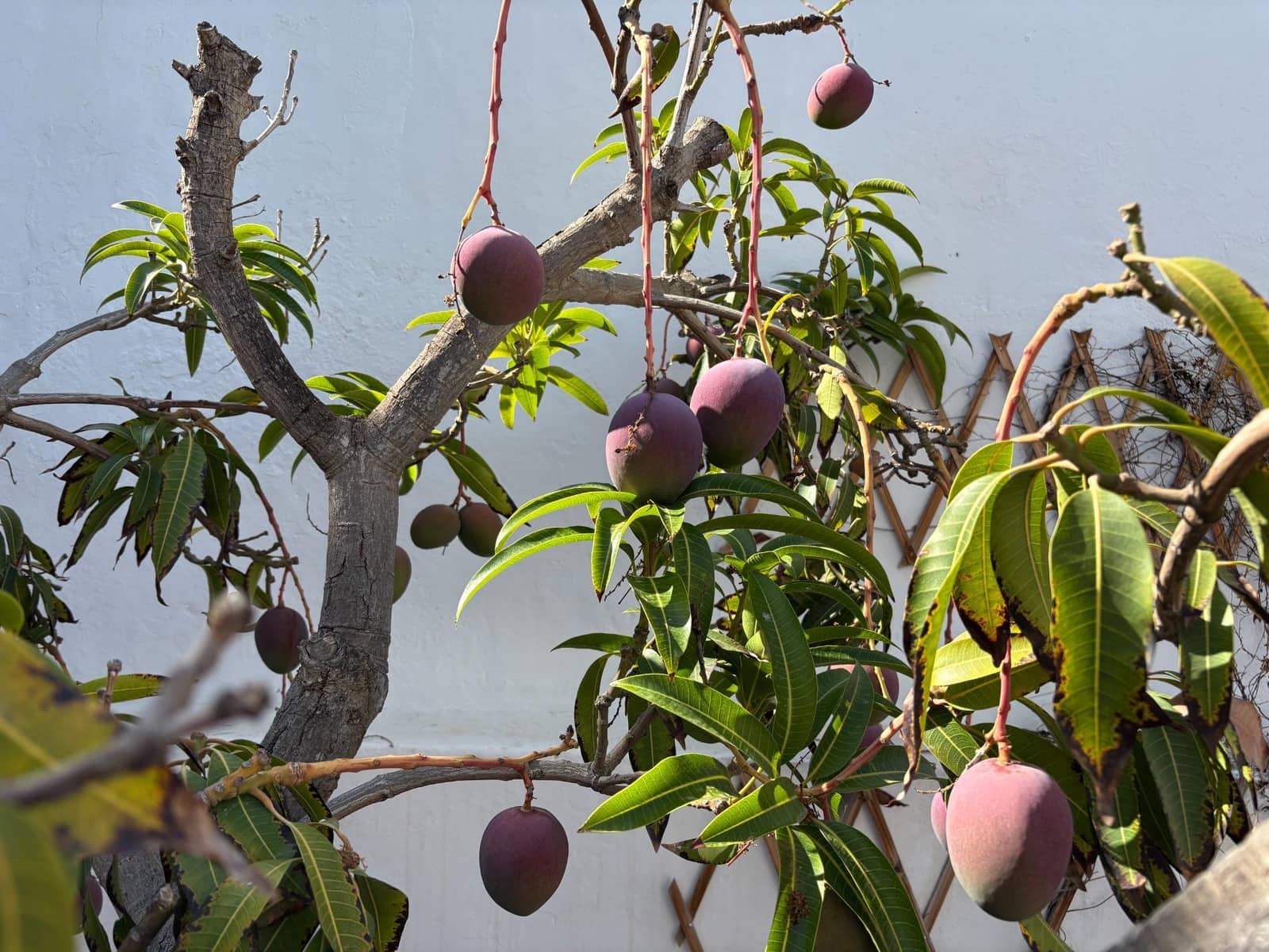 4 soveværelse Villa til salg i Arrecife - € 749.000 (Ref: 9107142)