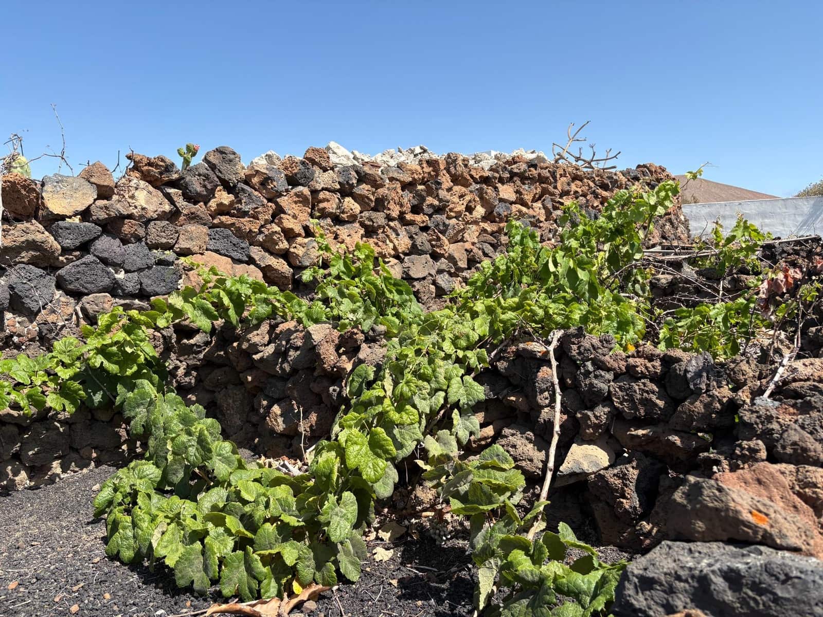 3 slaapkamer Villa te koop in Tias met garage - € 680.000 (Ref: 9108785)