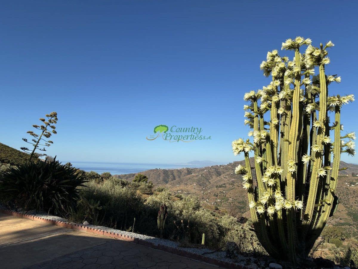 Finca/Casa Rural de 3 habitaciones en Cómpeta en venta con piscina - 595.000 € (Ref: 10157419)