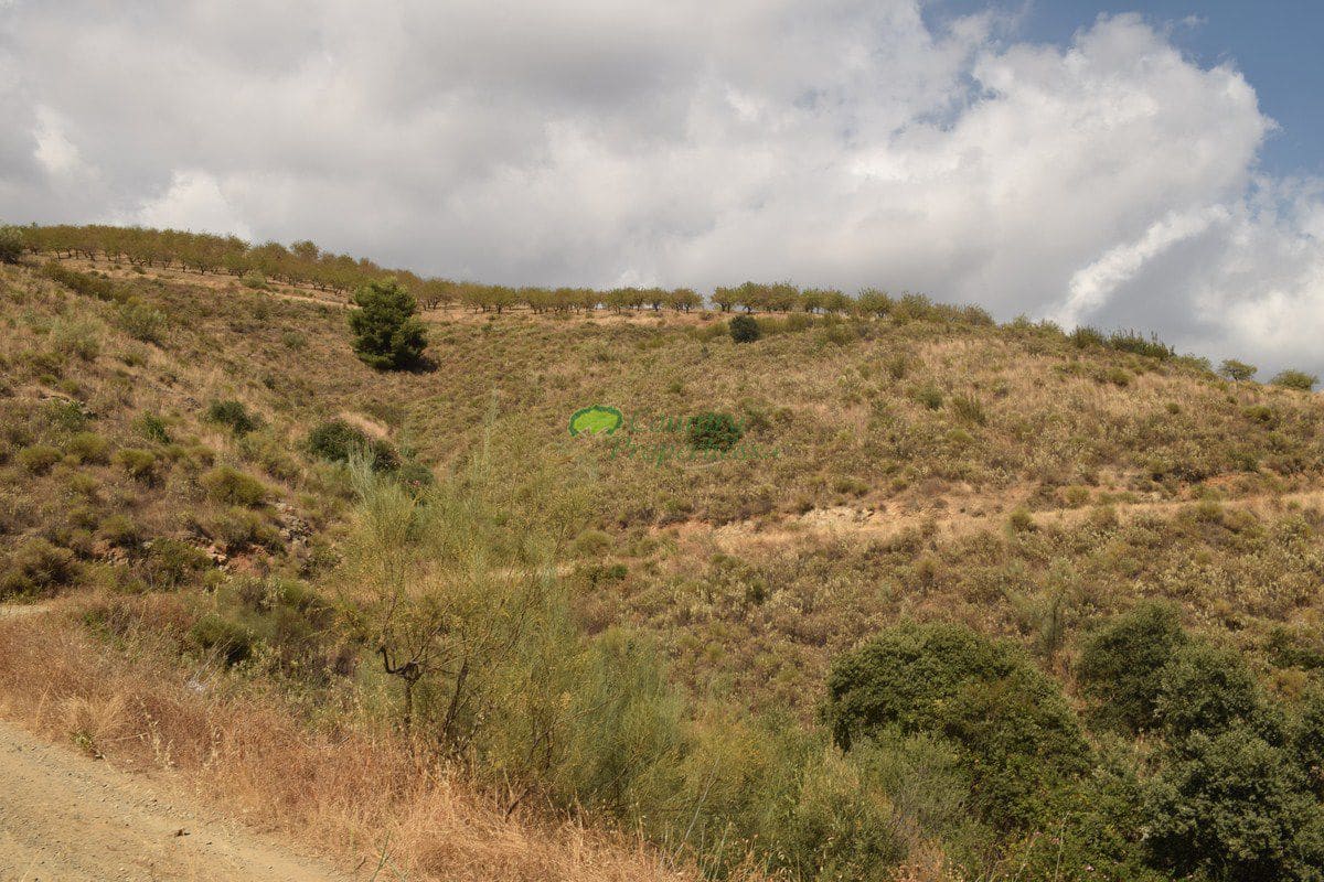 Grunde uden byggetilladelser til salg i Sedella - € 350.000 (Ref: 6283309)