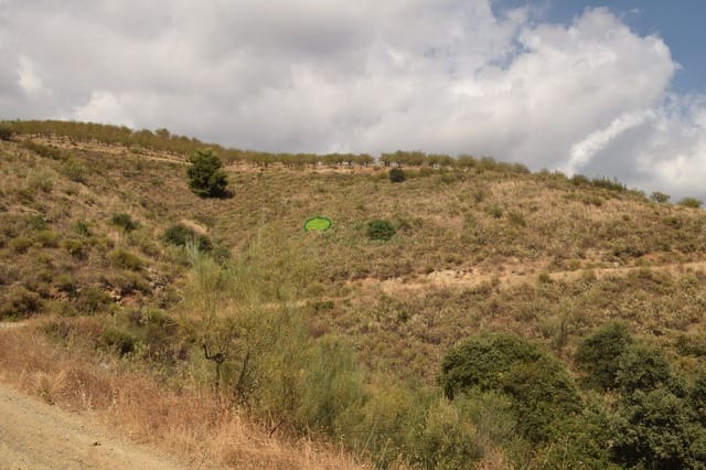 Undeveloped Land for sale in Sedella - € 350,000 (Ref: 6283309)