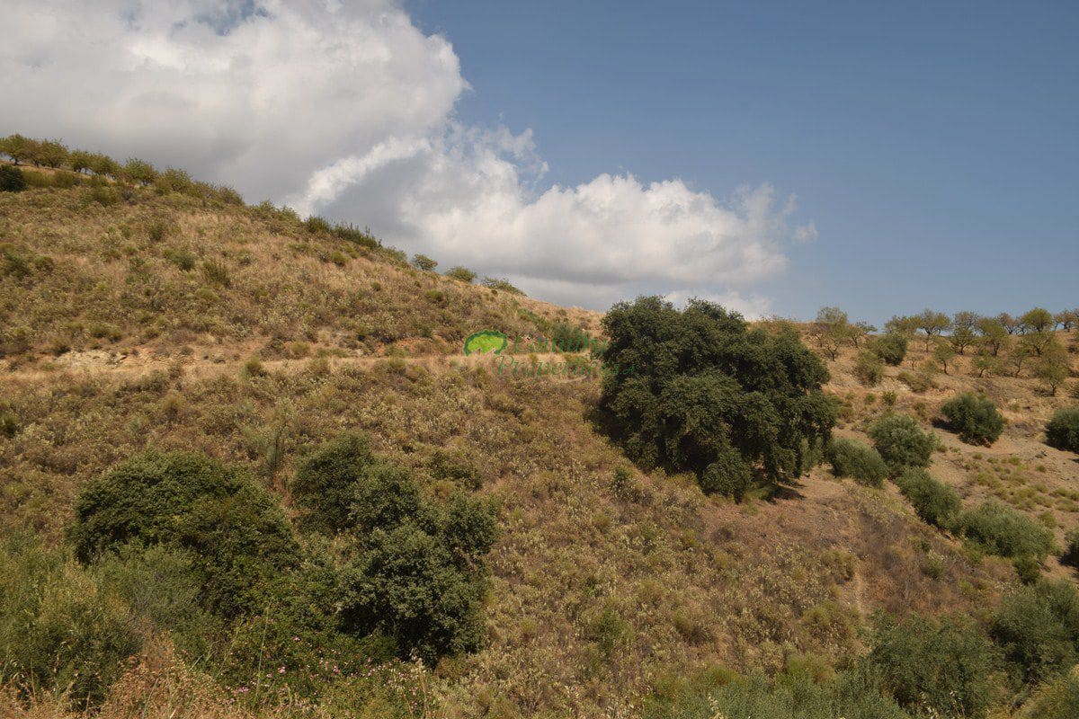 Grunde uden byggetilladelser til salg i Sedella - € 350.000 (Ref: 6283309)