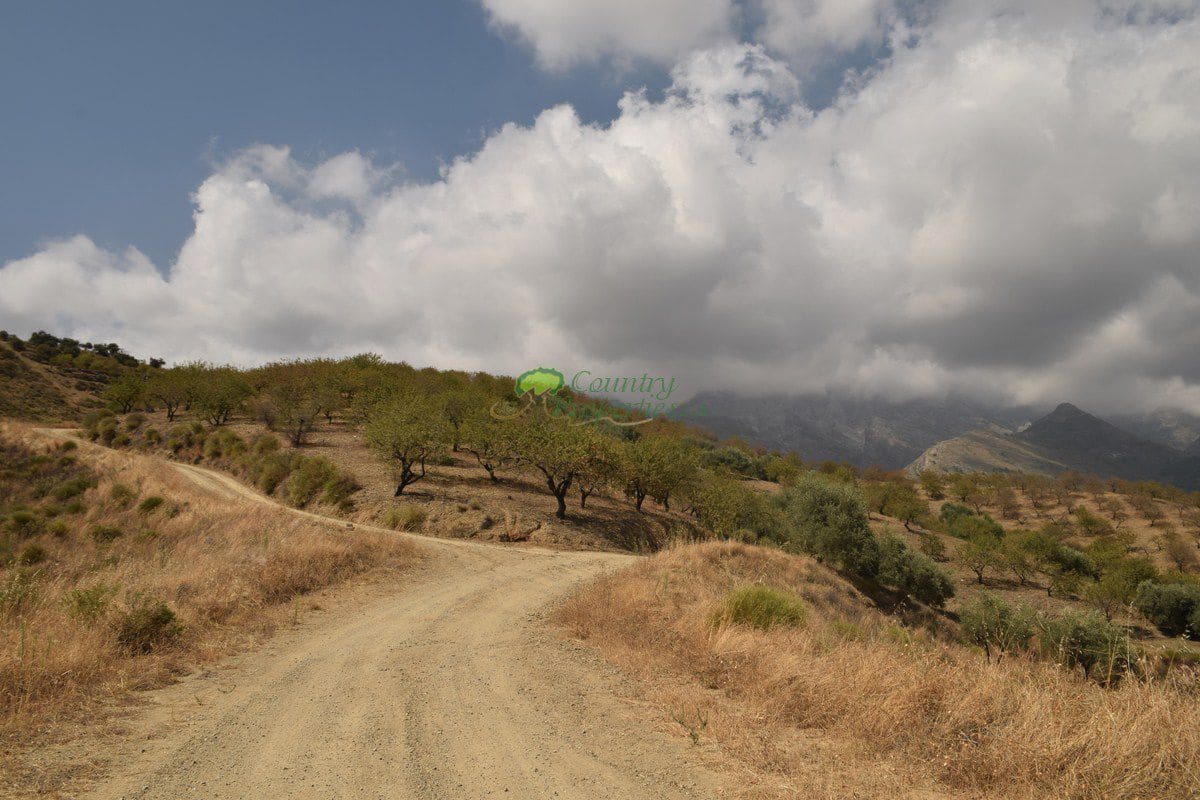 Grunde uden byggetilladelser til salg i Sedella - € 350.000 (Ref: 6283309)