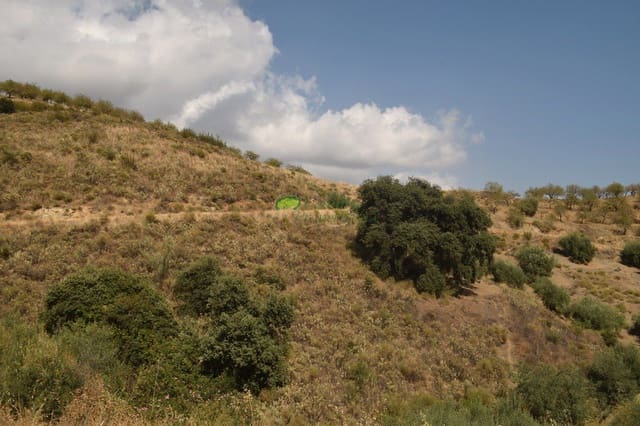 Undeveloped Land for sale in Sedella - € 350,000 (Ref: 6283309)