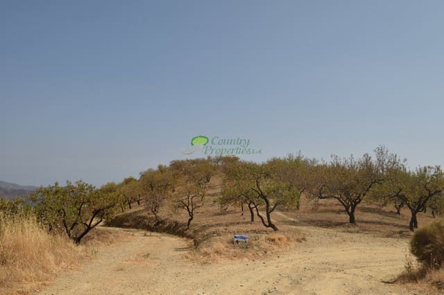 Undeveloped Land for sale in Sedella - € 350,000 (Ref: 6283309)