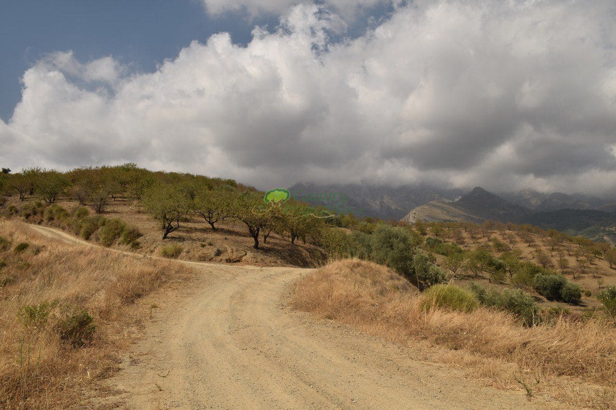 Grunde uden byggetilladelser til salg i Sedella - € 350.000 (Ref: 6283309)