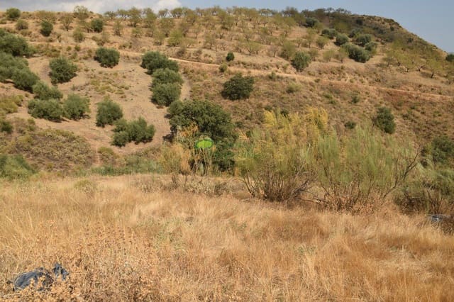 Undeveloped Land for sale in Sedella - € 350,000 (Ref: 6283309)