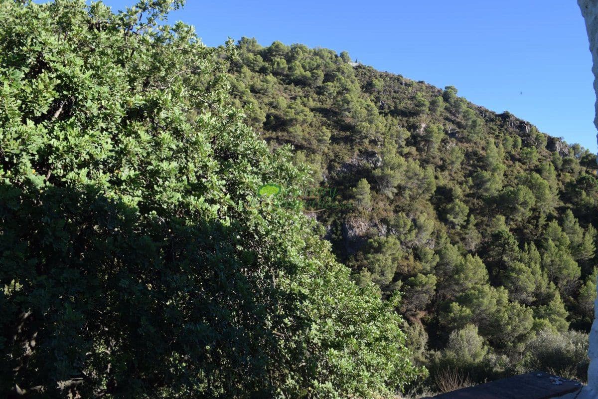 3 slaapkamer Finca/Landhuis te koop in Competa - € 221.000 (Ref: 6314699)