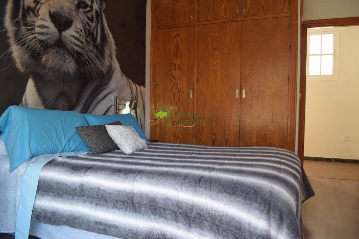 Casa de 4 habitaciones en Cómpeta en venta - 365.000 € (Ref: 6317577)