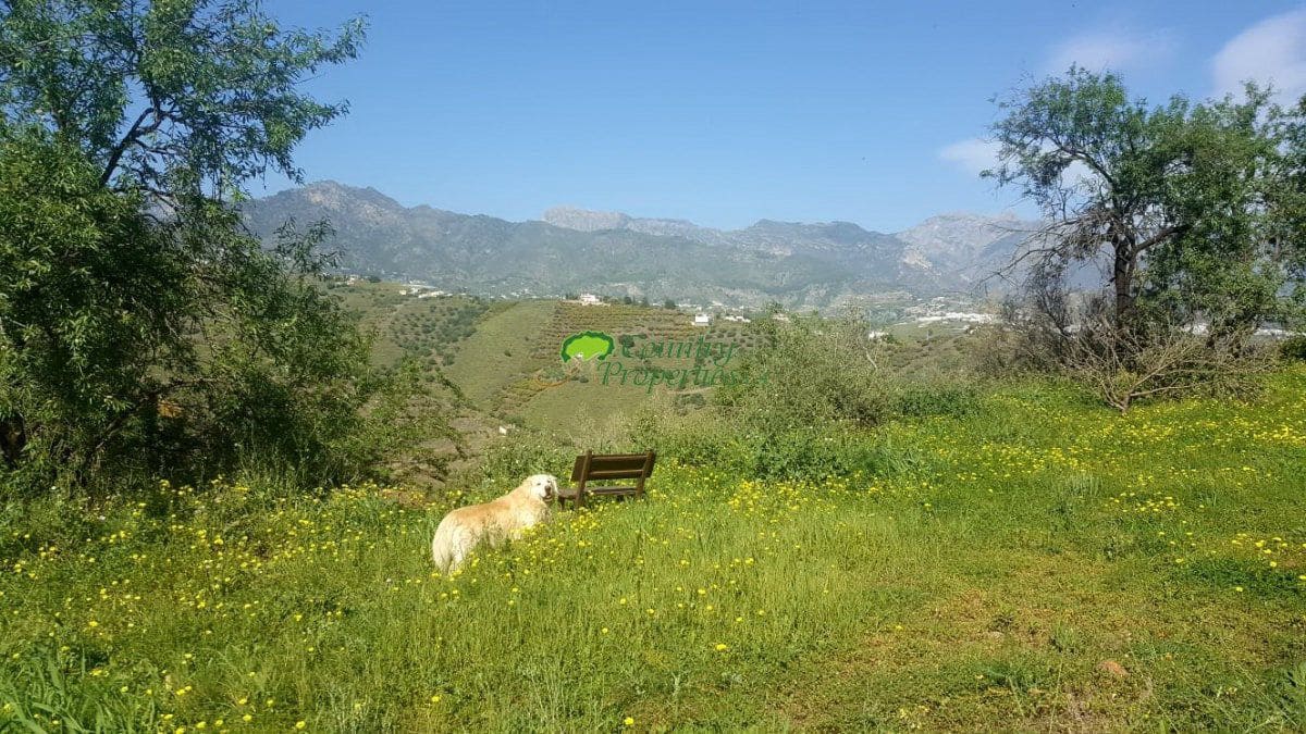 7 sypialnia Finka/Dom wiejski na sprzedaż w Torrox - 880 000 € (Ref: 6611458)