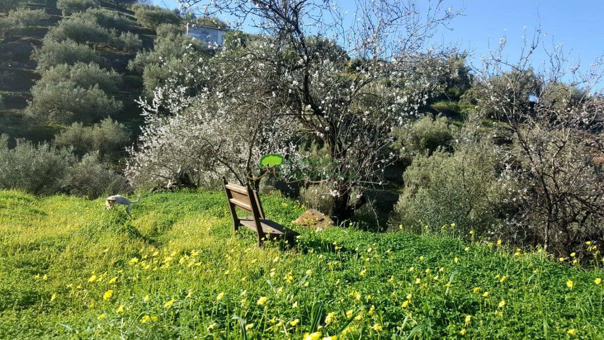 7 sypialnia Finka/Dom wiejski na sprzedaż w Torrox - 880 000 € (Ref: 6611458)