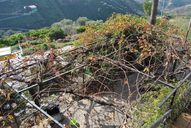 5 bedroom Townhouse for sale in Cómpeta - € 470,000 (Ref: 7982617)