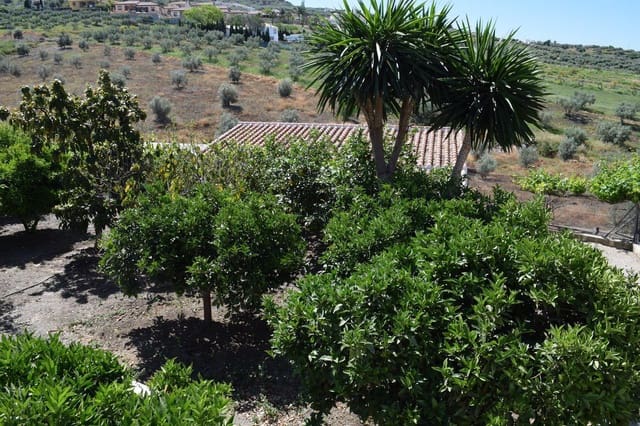 4 makuuhuone Maalaistalo myytävänä paikassa Puente de Don Manuel, Alcaucín mukana 
autotalli - 250 000 € (Ref: 7982619)