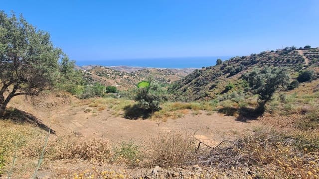 Mark till salu i Sayalonga - 90 000 € (Ref: 8394621)