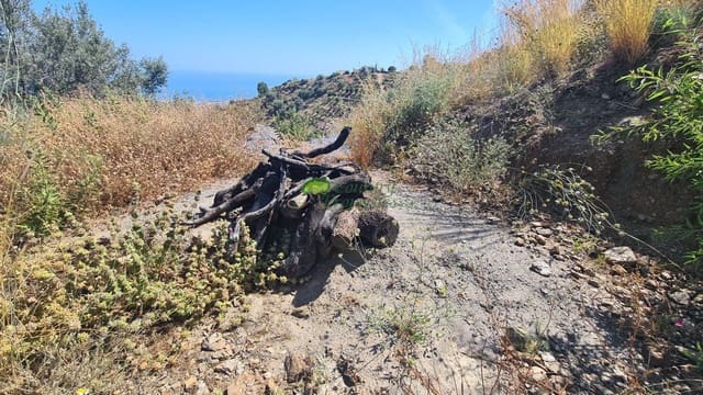 Mark till salu i Sayalonga - 90 000 € (Ref: 8394621)