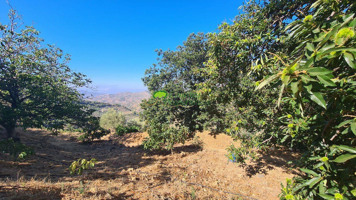 3 soveværelse Finca/Landehus til salg i Canillas de Albaida - € 286.000 (Ref: 8438401)