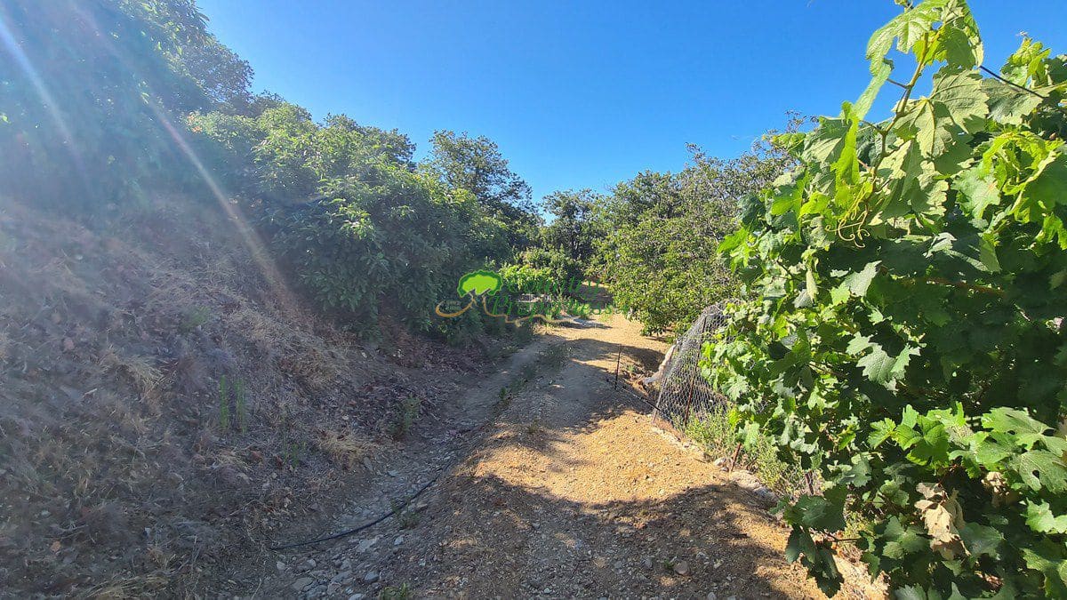 3 soveværelse Finca/Landehus til salg i Canillas de Albaida - € 286.000 (Ref: 8438401)