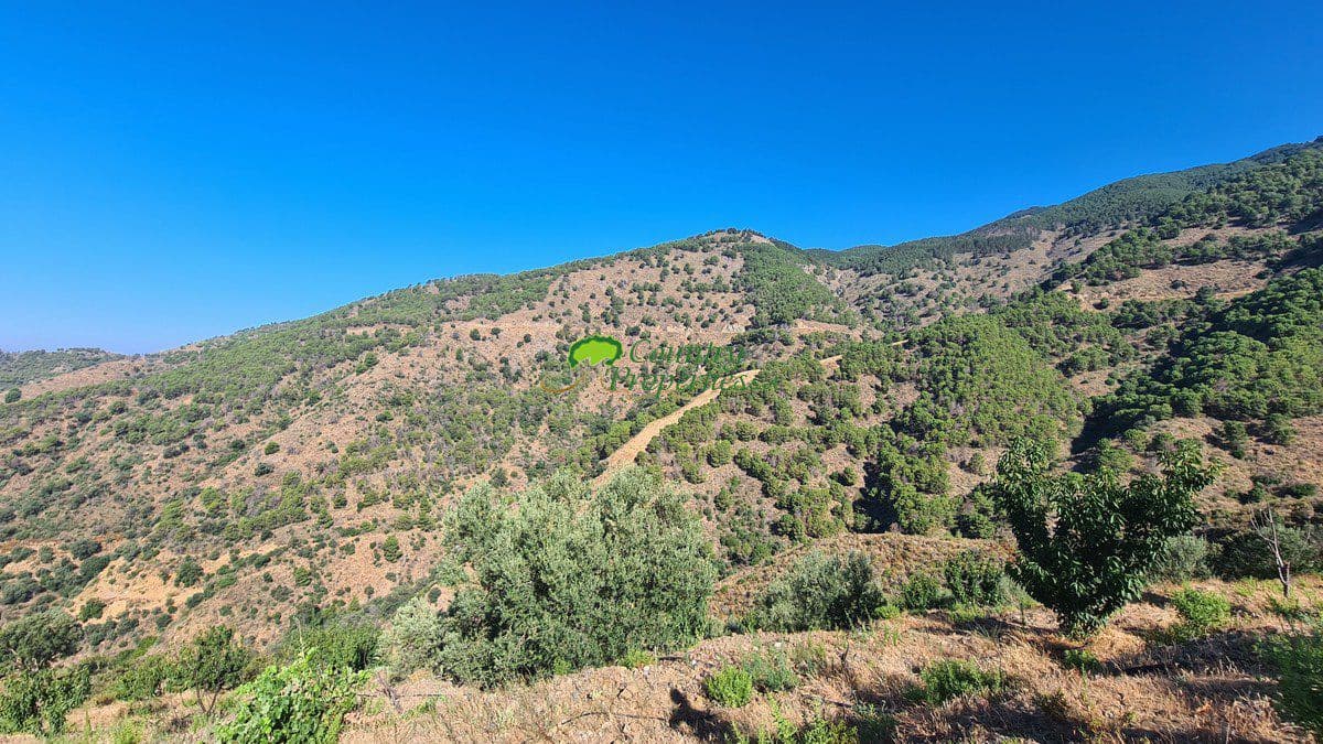 3 soveværelse Finca/Landehus til salg i Canillas de Albaida - € 286.000 (Ref: 8438401)