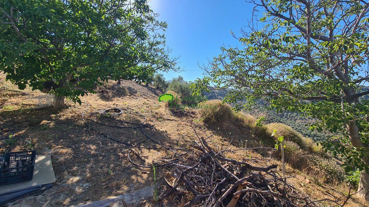 3 soveværelse Finca/Landehus til salg i Canillas de Albaida - € 286.000 (Ref: 8438401)