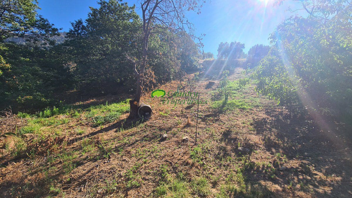 3 soveværelse Finca/Landehus til salg i Canillas de Albaida - € 286.000 (Ref: 8438401)