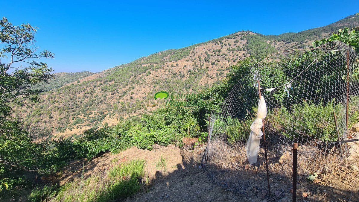 3 soveværelse Finca/Landehus til salg i Canillas de Albaida - € 286.000 (Ref: 8438401)